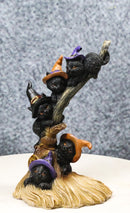 Halloween 5 Black Kitten Cats with Witch Hats Perching On Broomstick Figurine