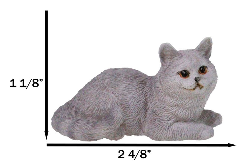 Realistic Feline British Shorthair Grey Kitty Cat Kitten Resting Mini Figurine