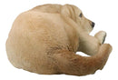Large Realistic Sleeping Yellow Labrador Retriever Statue 21"H Golden Retriever