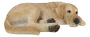 Large Realistic Sleeping Yellow Labrador Retriever Statue 21"H Golden Retriever