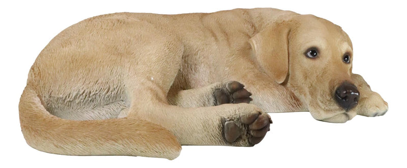 Large Realistic Sleeping Yellow Labrador Retriever Statue 21"H Golden Retriever