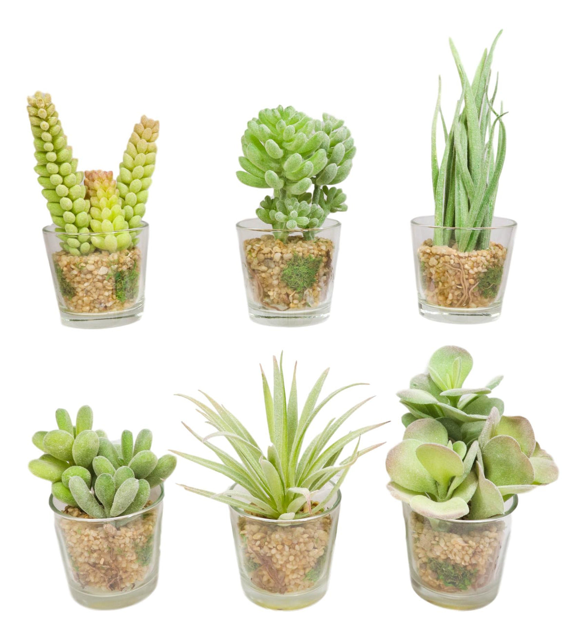 Set Of 6 Realistic Lifelike Artificial Faux Botanica Succulents In Glass Pots