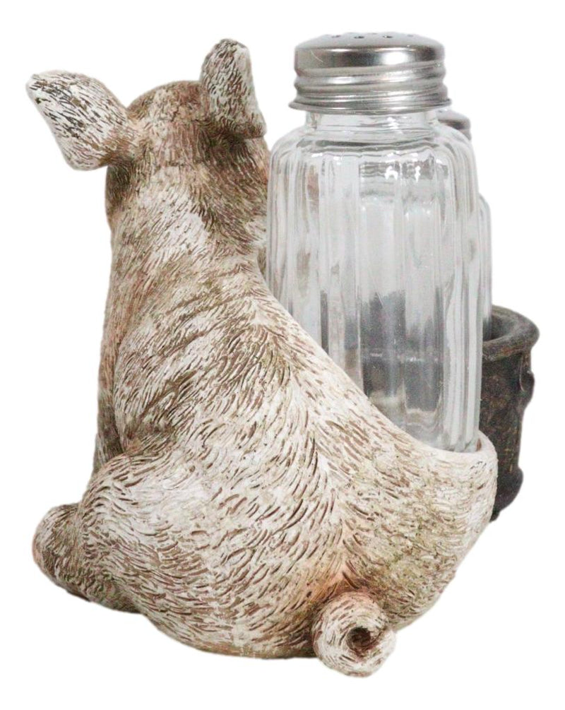 Rustic Barn Porky Pig With Farm Bucket Salt Pepper Shakers Holder Figurine