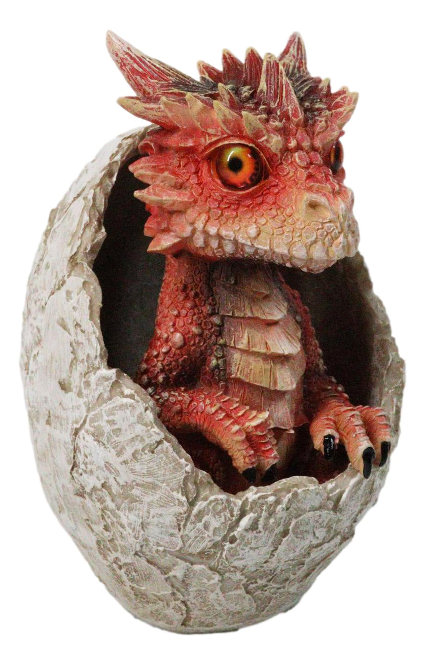 Ebros Red Ember Fire Dragon Baby Hatchling in Cracked Egg Fantasy Figurine