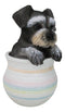 Adorable Grey Mini Schnauzer Puppy Dog Figurine With Glass Eyes Pup In Pot