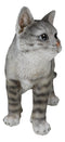 Standing Feline Gray Tabby Cat Kitten Figurine With Realistic Glass Eyes Decor