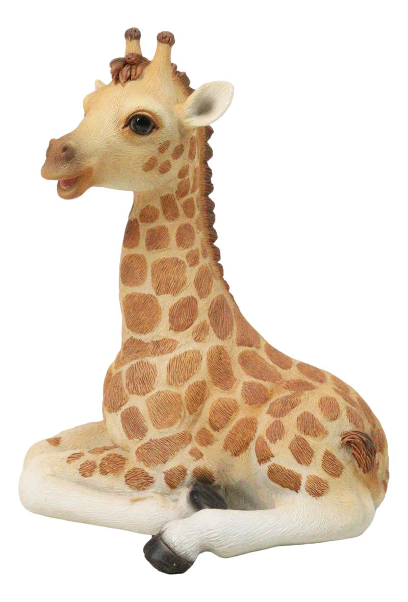 Wildlife Safari Savannah Masai Giraffe Calf Sitting in Repose Figurine 5.75"H