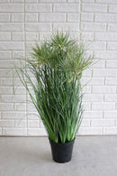 Large Realistic Lifelike Artificial Cyprus Grass Plant In Black Pot Botanica