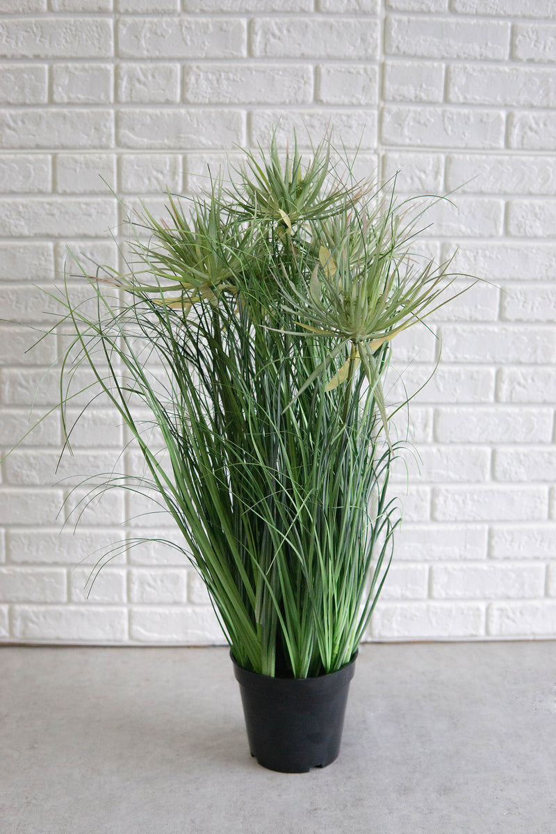 Large Realistic Lifelike Artificial Cyprus Grass Plant In Black Pot Botanica