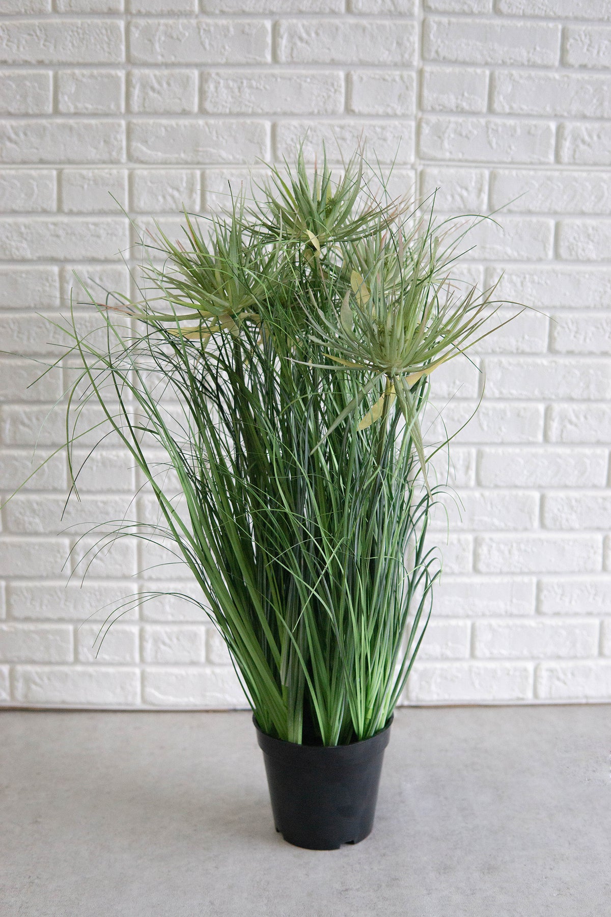 Pack Of 2 Realistic Lifelike Artificial Cyprus Grass Plant In Black Pot Botanica