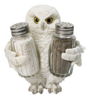 Wisdom Of The Woods Snowy White Owl Salt and Pepper Shakers Holder Set 5.5"H