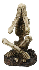 See Hear Speak No Evil Skeleton Figurines Set of 3 Wise Skeletons in Seated Pose