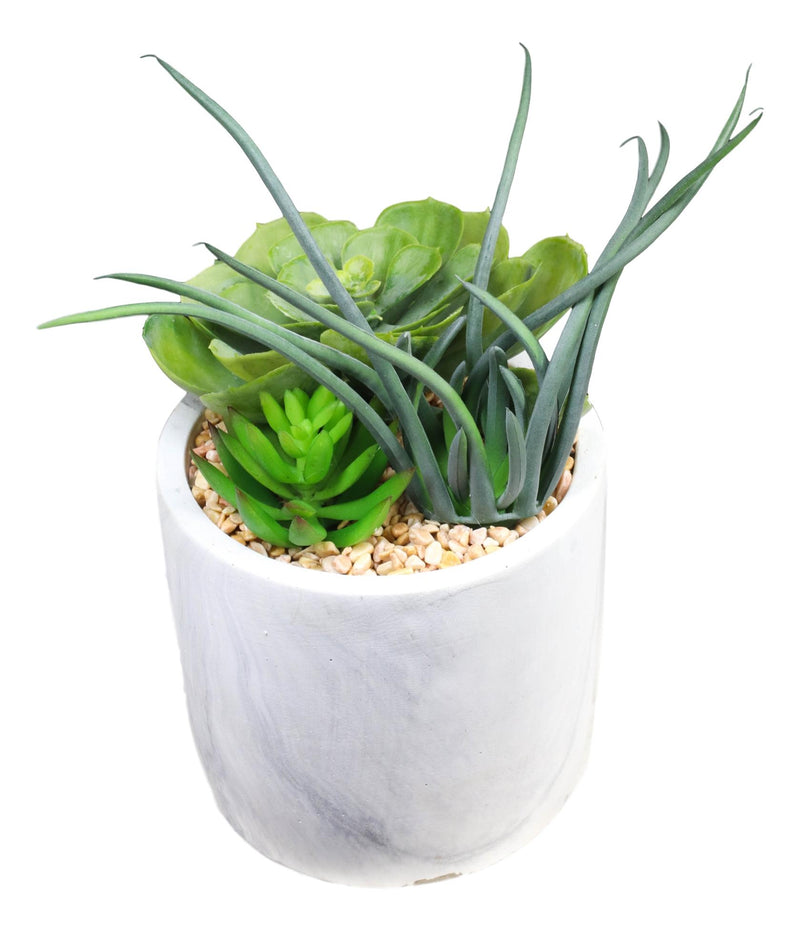 marble succulent Ultra Realistic Artificial Botanica Trio Succulents Plant In Faux Marb– Ebros Gift