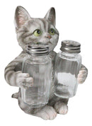 Gray Tabby Cat Salt and Pepper Glass Shakers Holder Set Cute Kitten Figurine