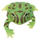 Realistic Lithobates Clamitans Amphibian Green Frog Decorative Figurine