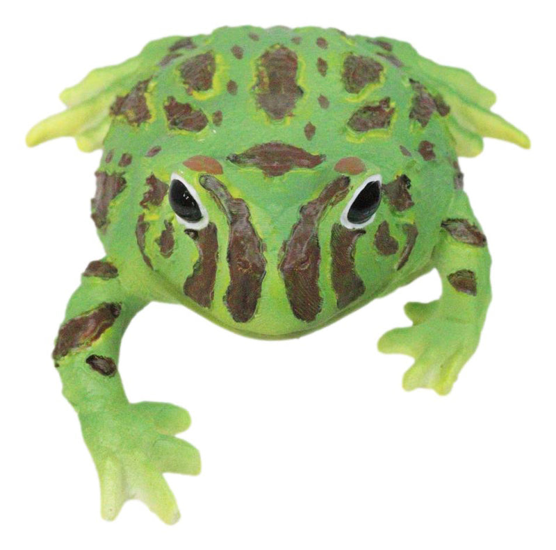 Realistic Lithobates Clamitans Amphibian Green Frog Decorative Figurine