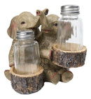 Elephant Couple with Intertwined Trunks Glass Salt and Pepper Shakers Holder