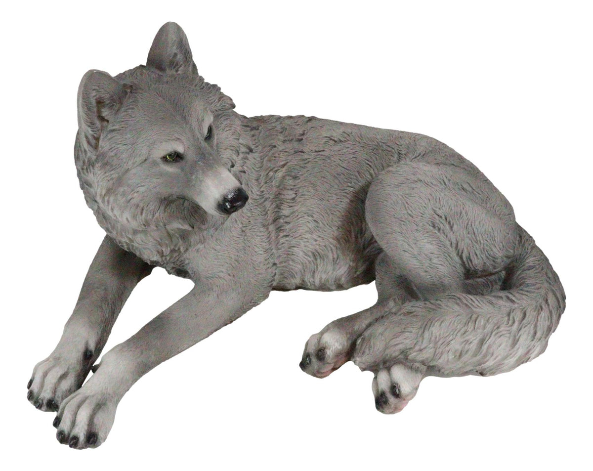 Resting Wise Gray Lone Wolf Figurine Timberwolves Pack Decorative Decor Statue - Ebros Gift