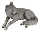 Resting Wise Gray Lone Wolf Figurine Timberwolves Pack Decorative Decor Statue