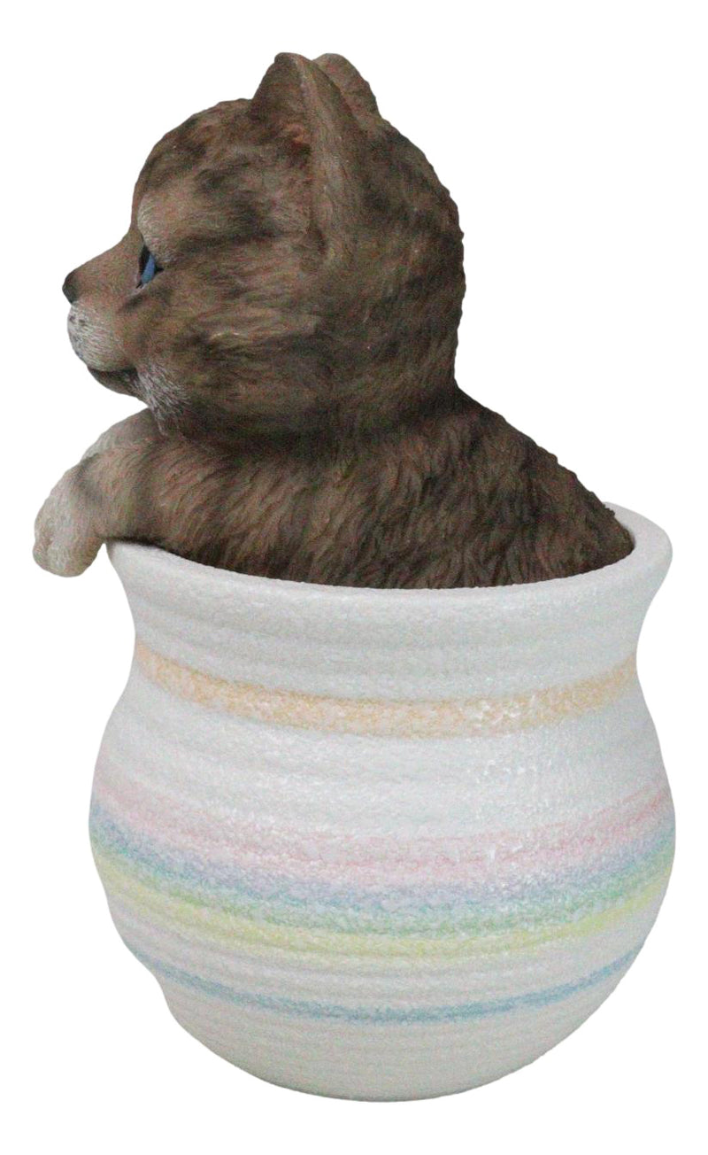 Lifelike Feline Kitty Brown Tabby Cat Blue Eyes In Pastel Artsy Pot Figurine