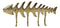 Brass Metal Golden Fishbone Fish Bone Marine Coastal 4 Peg Wall Hooks Plaque