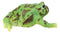Realistic Lithobates Clamitans Amphibian Green Frog Decorative Figurine