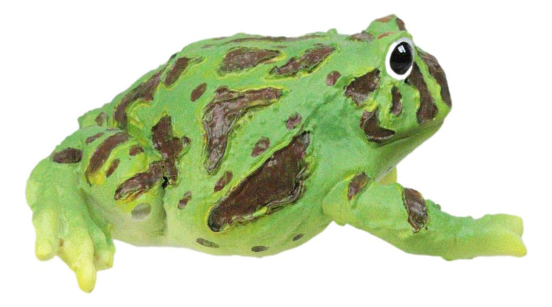 Realistic Lithobates Clamitans Amphibian Green Frog Decorative Figurine