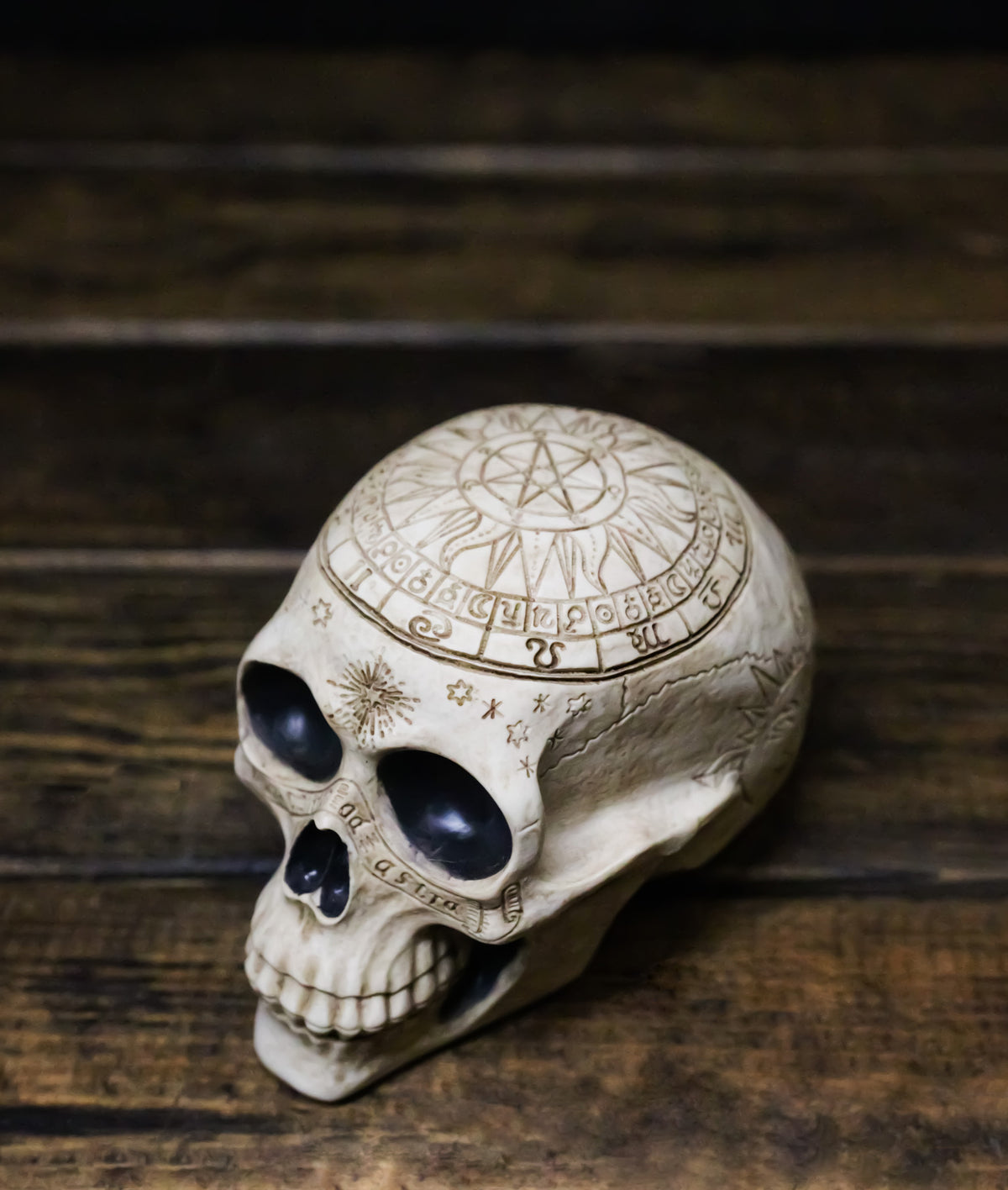 Ebros Gift Astrology Zodiac Skull Figurine Celestial Occult Gothic Decor