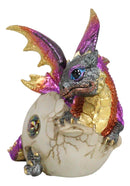 Iridescent Purple And Gold Baby Dragon In Egg Shell With Gemstone Figurine