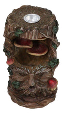 Forest Celtic Greenman Tree Ent With Fungi Pillar Backflow Incense Cone Burner