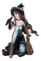 Gothic Black Witch Sorceress with Raven Crow and Magical Broomstick Figurine