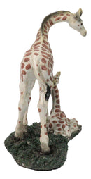 Safari Savannah Masai Giraffe Mother Standing by Sitting Calf Figurine 6.75"H
