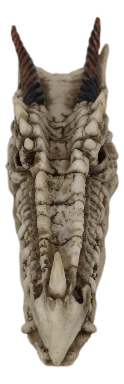 Ancient Fossil Dragon Head Skeleton Incense Burner Statue Prehistoric Dinosaur