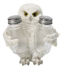Wisdom Of The Woods Snowy White Owl Salt and Pepper Shakers Holder Set 5.5"H