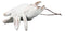 Set Of 6 Antique White Beach Crabs Ocean Marine Wall Hanger Decor Tree Ornaments