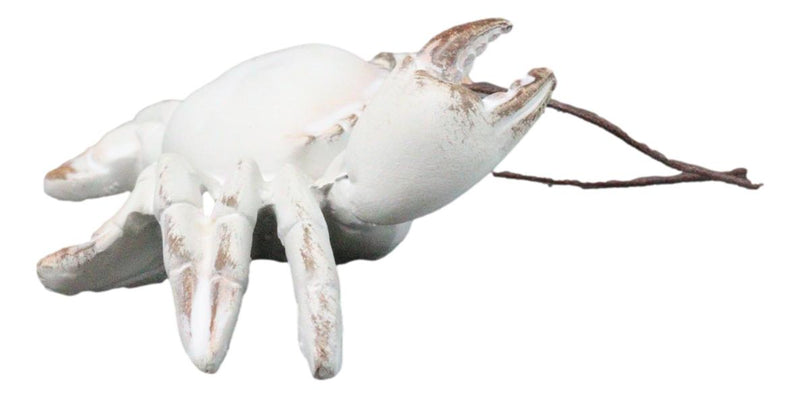 Set Of 6 Antique White Beach Crabs Ocean Marine Wall Hanger Decor Tree Ornaments