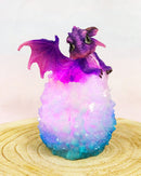 Whimsical Cute Purple Baby Dragon Hatchling in LED Crystal Icicles Egg Figurine