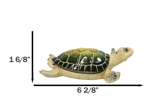 Marine Swimming Green Shell Sea Turtle Decorative Jewelry Trinket Box Figurine