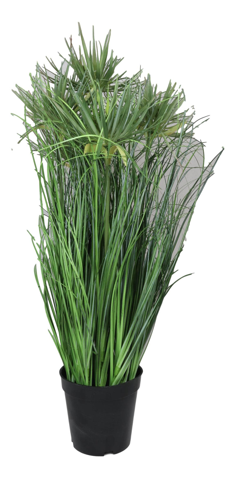 Large Realistic Lifelike Artificial Cyprus Grass Plant In Black Pot Botanica