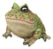 Amphibian Wildlife Realistic Green Bullfrog Frog In Stoic Posture Figurine 7"L