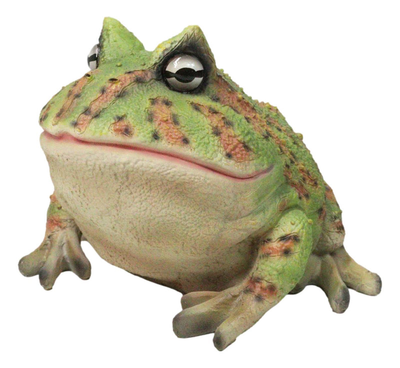 Amphibian Wildlife Realistic Green Bullfrog Frog In Stoic Posture Figurine 7"L