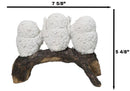 Woodland Wisdom See Hear Speak No Evil Wise Snowy Owls Figurine On Tree Branch