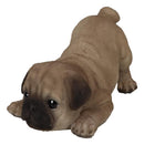 Realistic Lifelike Adorable Fawn Pug Puppy Dog Crouching Playfully Figurine