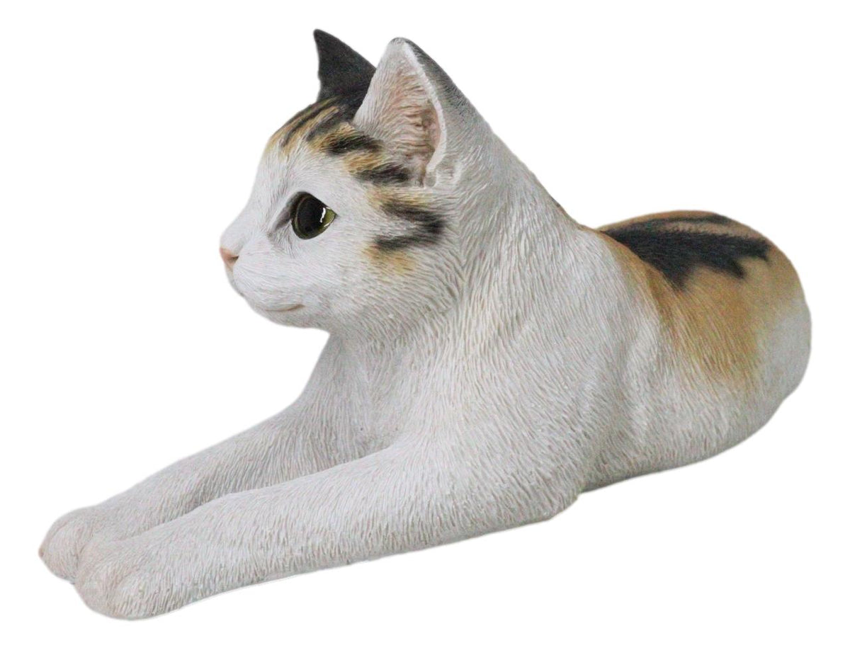 Realistic Adorable Feline Shorthair Calico Cat Kitten Lying Statue14.25"L