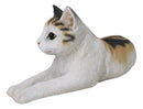 Realistic Adorable Feline Shorthair Calico Cat Kitten Lying Statue14.25"L