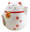 Japanese Lucky Charm Beckoning Cat Fat Maneki Neko Money Coin Bank Figurine