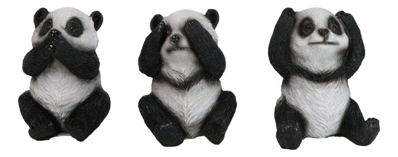 Set Of 3 See Hear Speak No Evil Whimsical Giant Panda Bears Mini Figurines