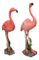 Tropical Paradise Bird Pink Flamingo Pair with Heart Shaped Neck Figurine Set