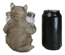 Full Moon Spice Lover Gray Wolf Pup Salt and Pepper Shakers Holder Figurine