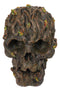 Halloween Ossuary Haunted Gothic Deadwood Tree Ent Skull Figurine 6"L